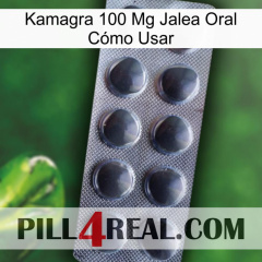 Kamagra 100 Mg Jalea Oral Cómo Usar 30